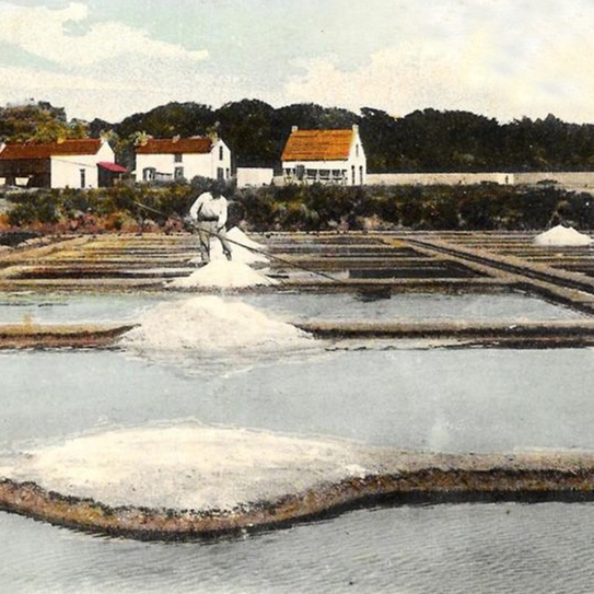 Inauguration of the exhibition “The history of salt at Le Croisic” – 10:45 a.m. to 12:30 p.m.